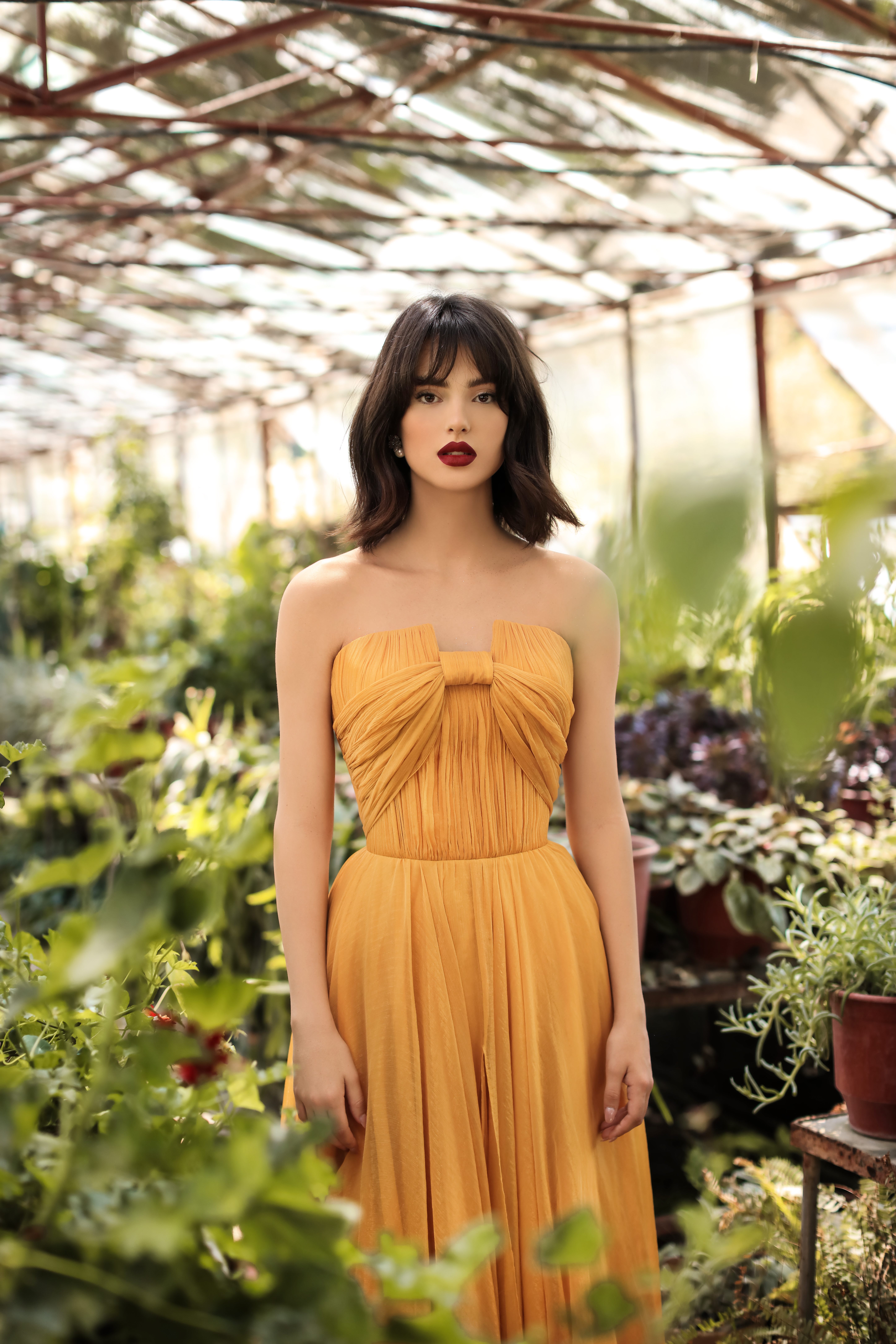 Picture of 96089 - CLARA DRESS