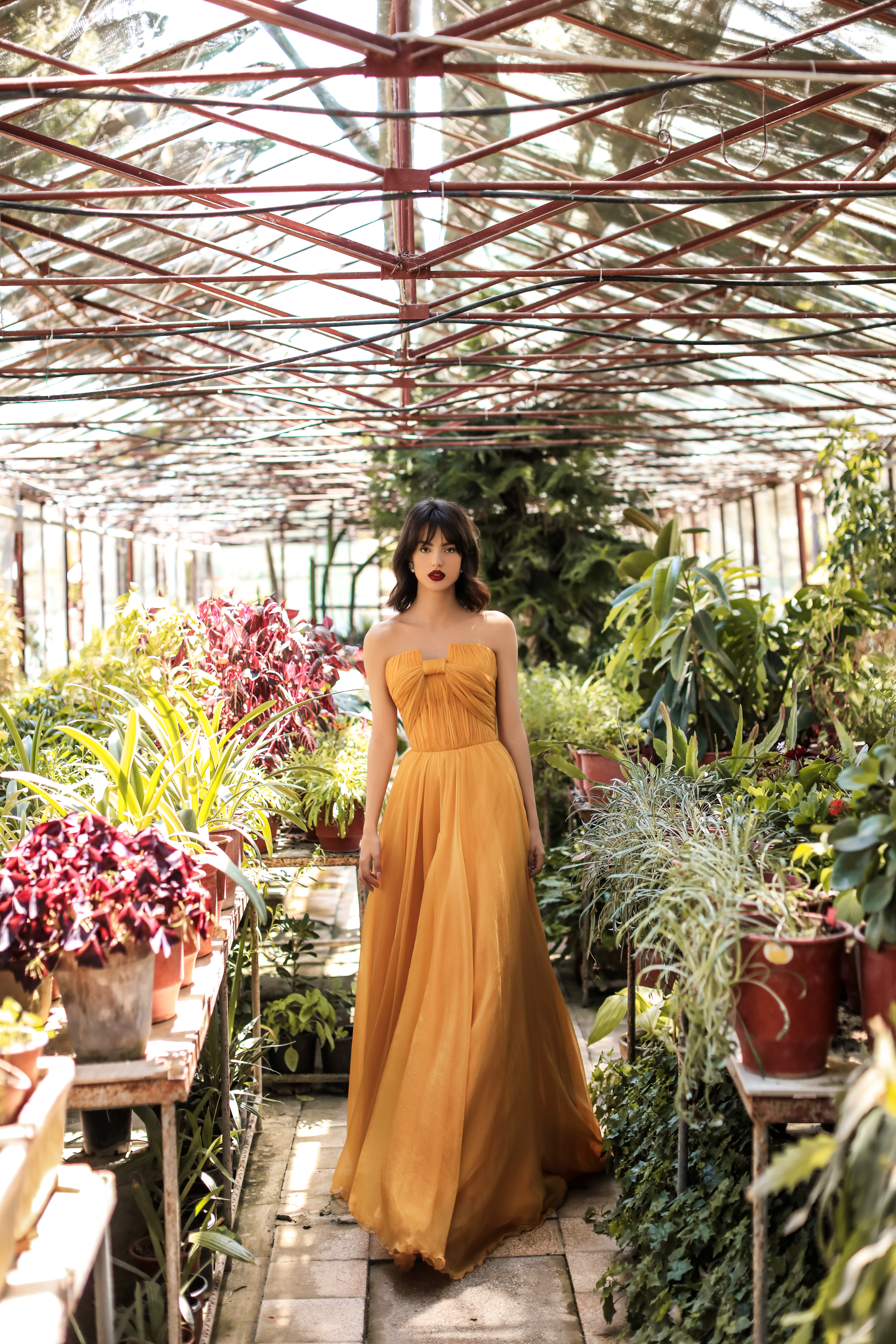 Picture of 96089 - CLARA DRESS