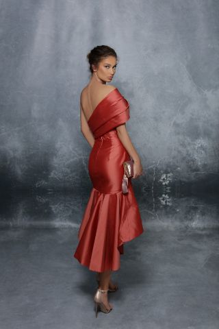 Picture of 96129 - MERLA DRESS