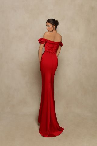 Picture of 98016 - RED VITALIS DRESS